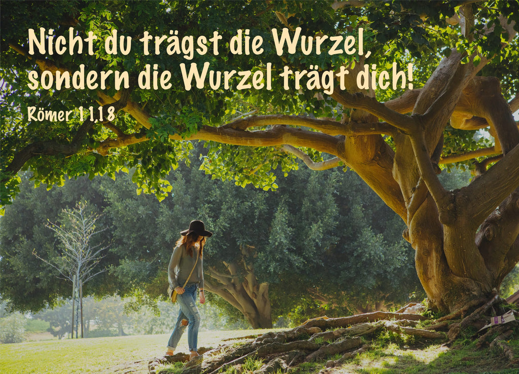 Postkarte Nicht Du trägst die Wurzel