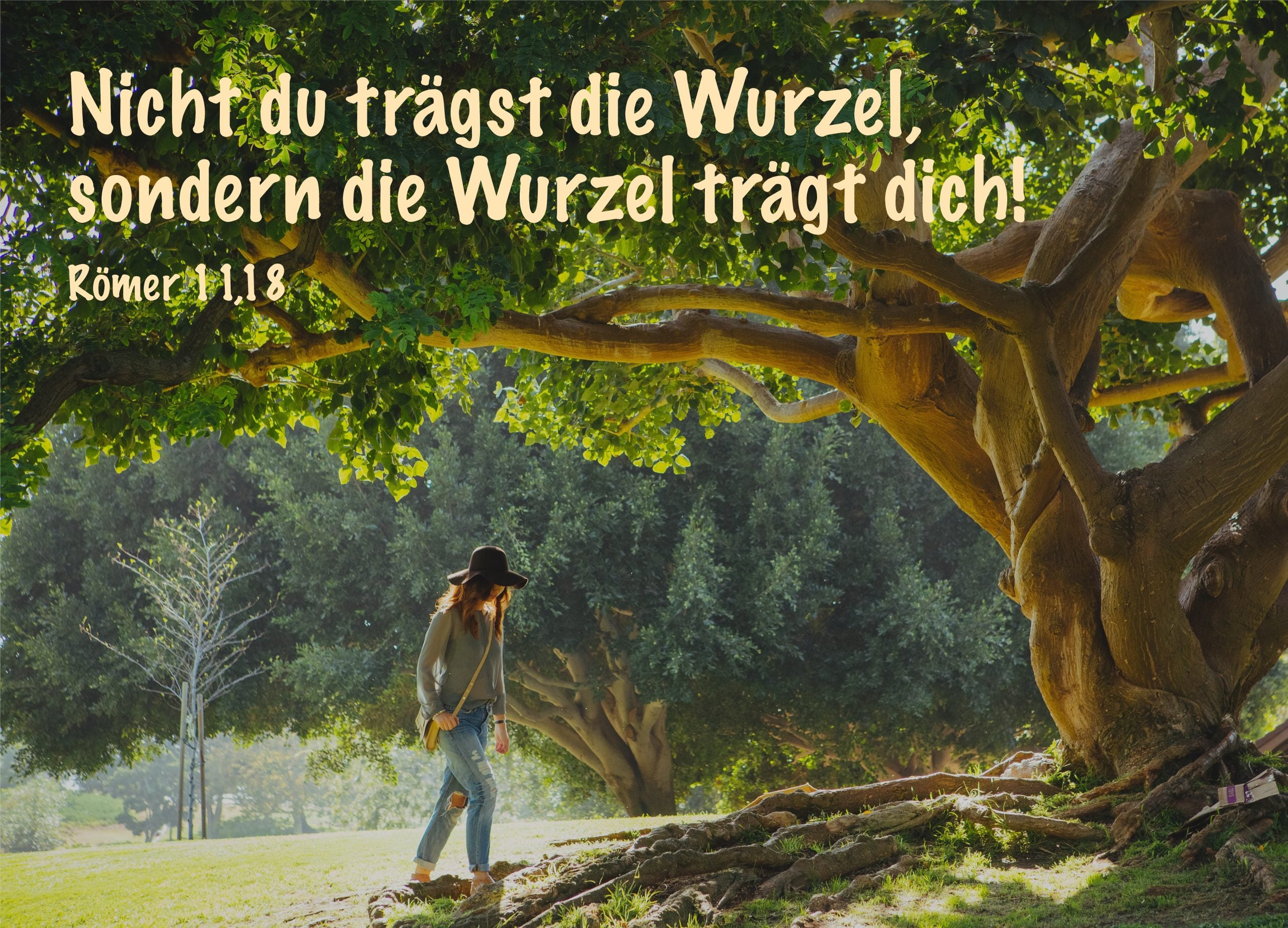 Postkarte Nicht Du trägst die Wurzel