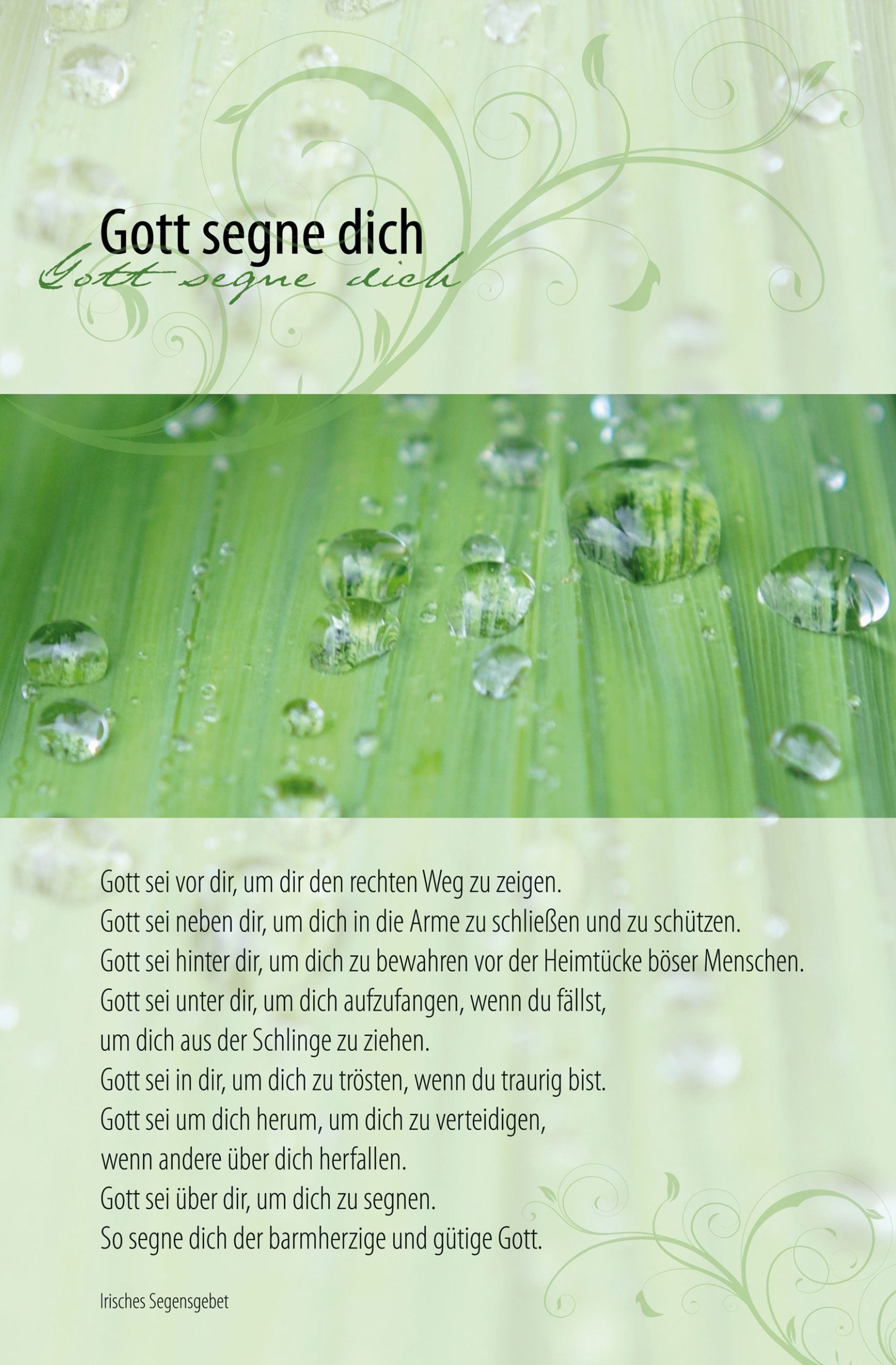 Faltkarte Gott segne dich!