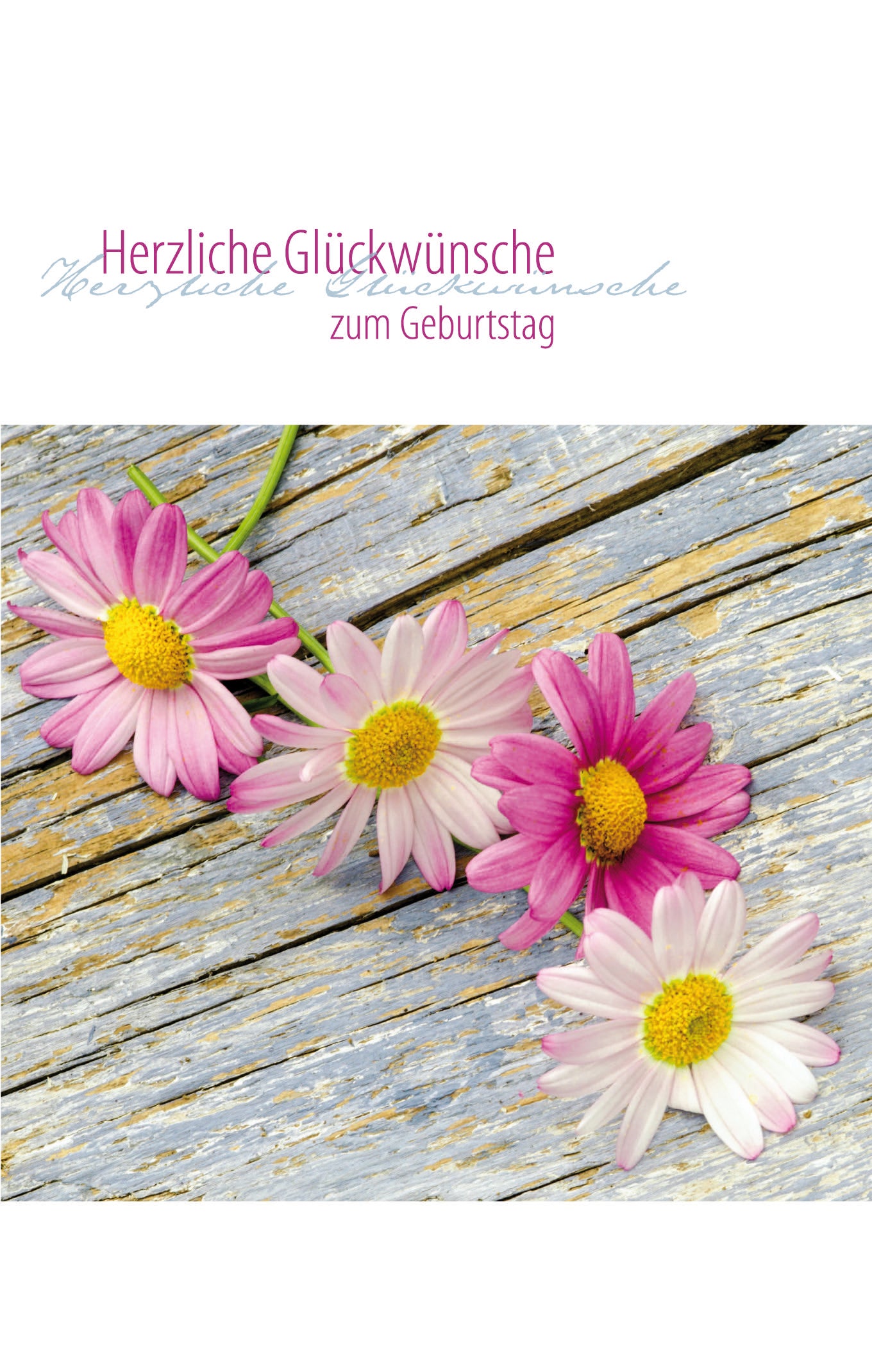 Faltkarte Herzliche Glückwünsche zum Geburtstag