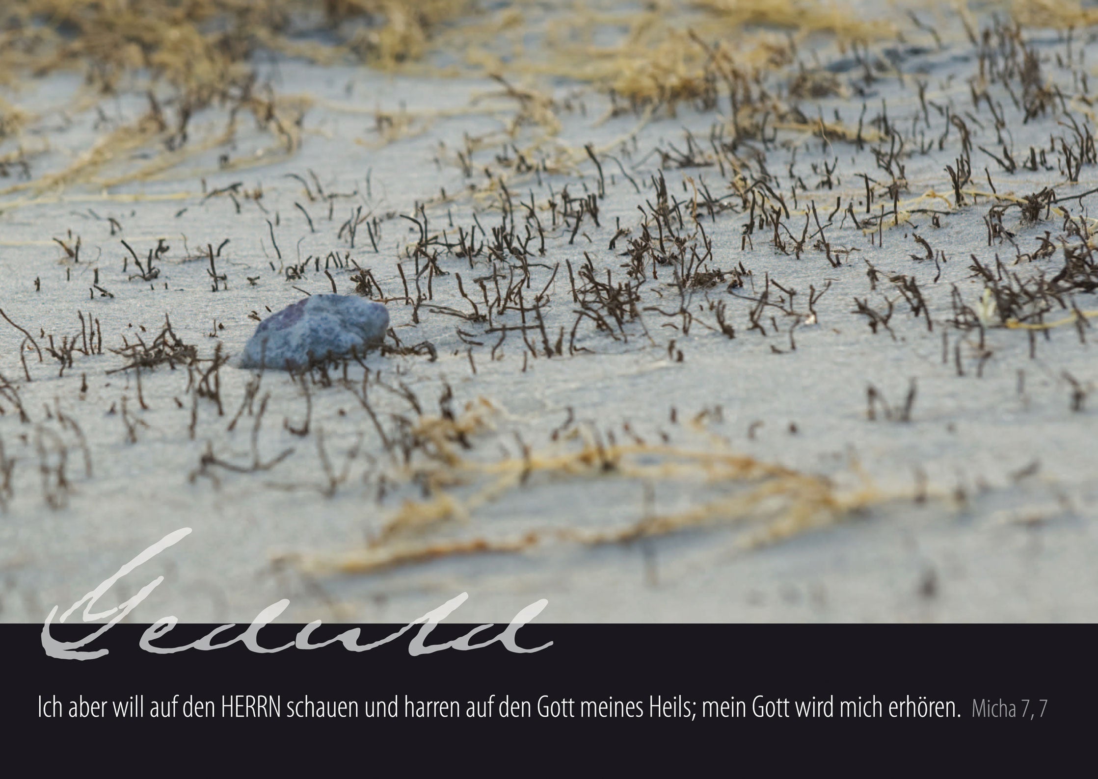 „Geduld“ - Ich aber will auf den Herrn schauen...