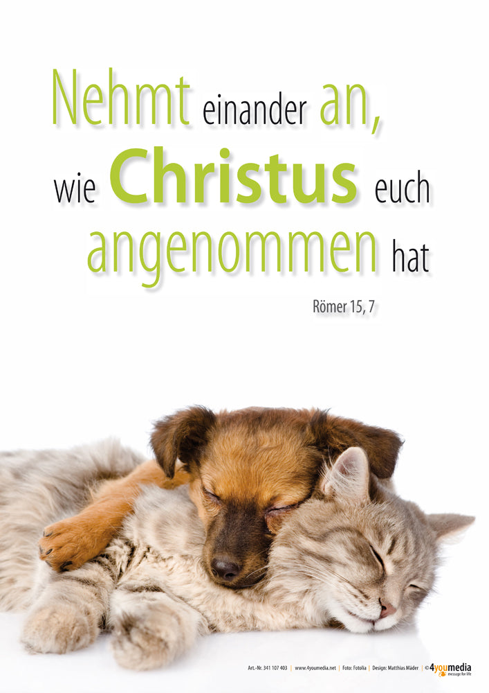 Poster A3 laminiert Jahreslosung 2015