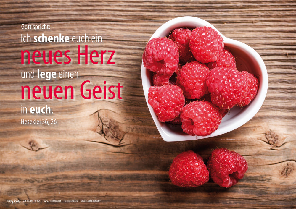 Poster A3 Jahreslosung 2017