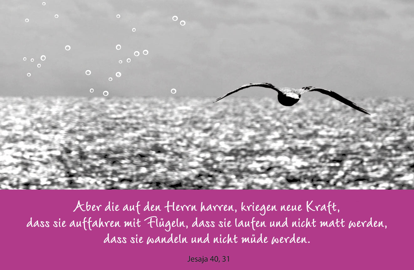 Die auf den Herrn harren, kriegen neue Kraft