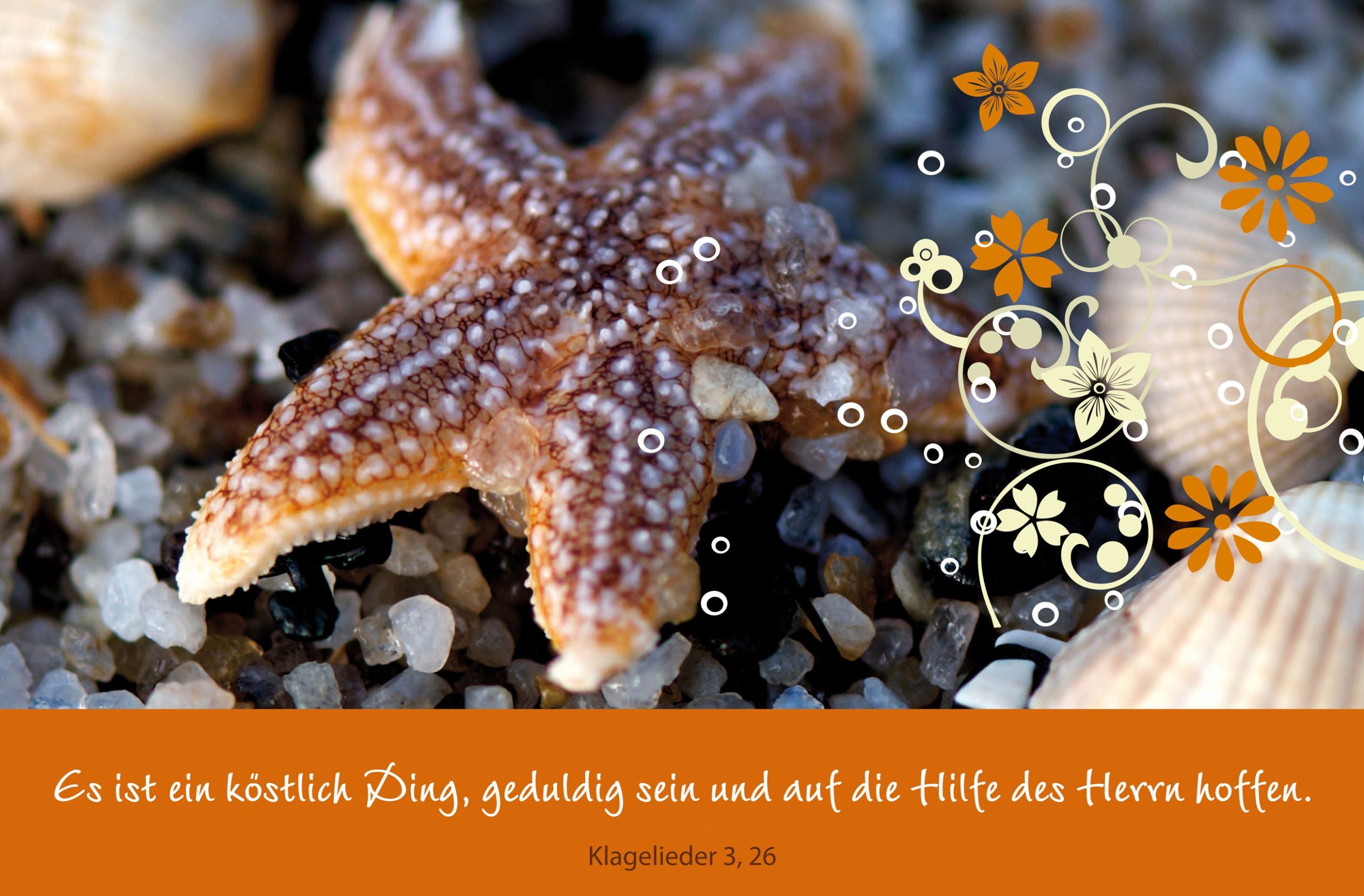 „Hoffnung“ - Es ist ein köstlich Dich...