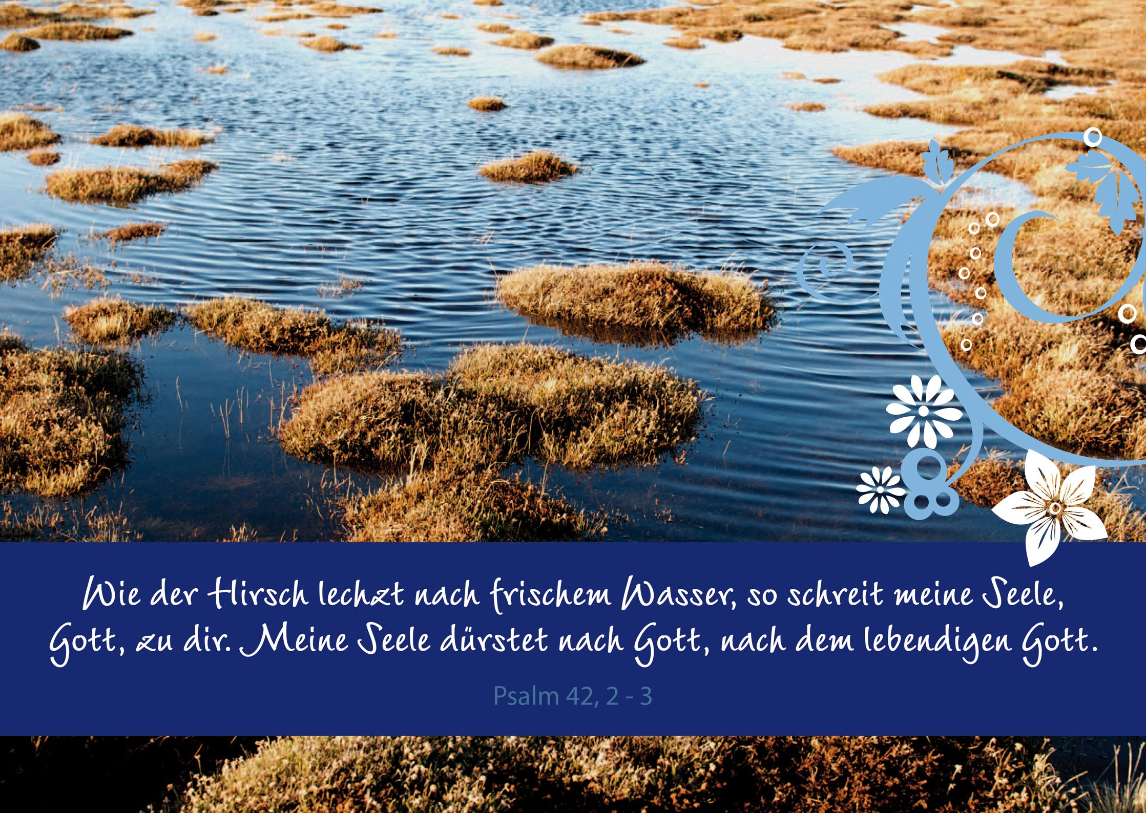 Wie ein Hirsch lechzt...