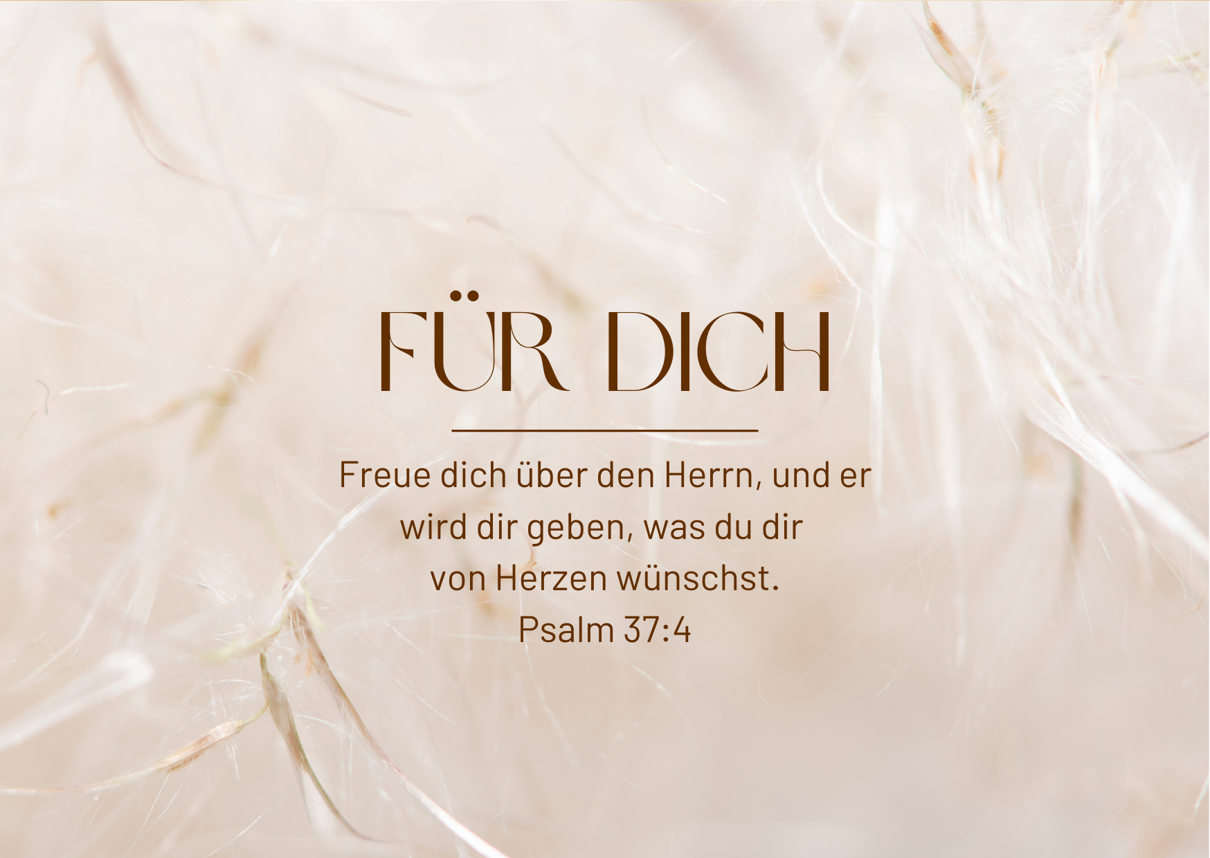Postkartenbuch Everyday Cards
