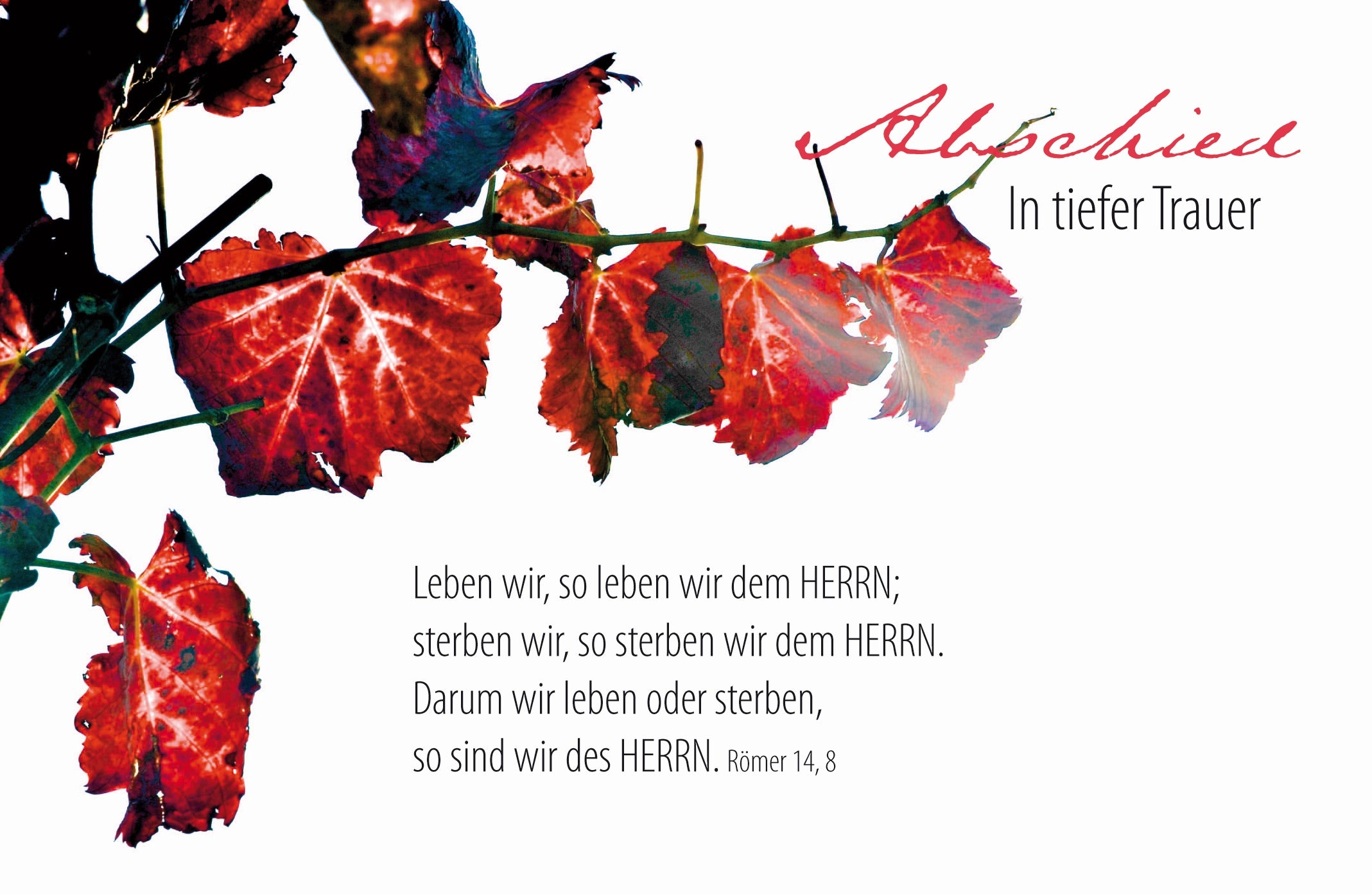 Faltkarte  Abschied