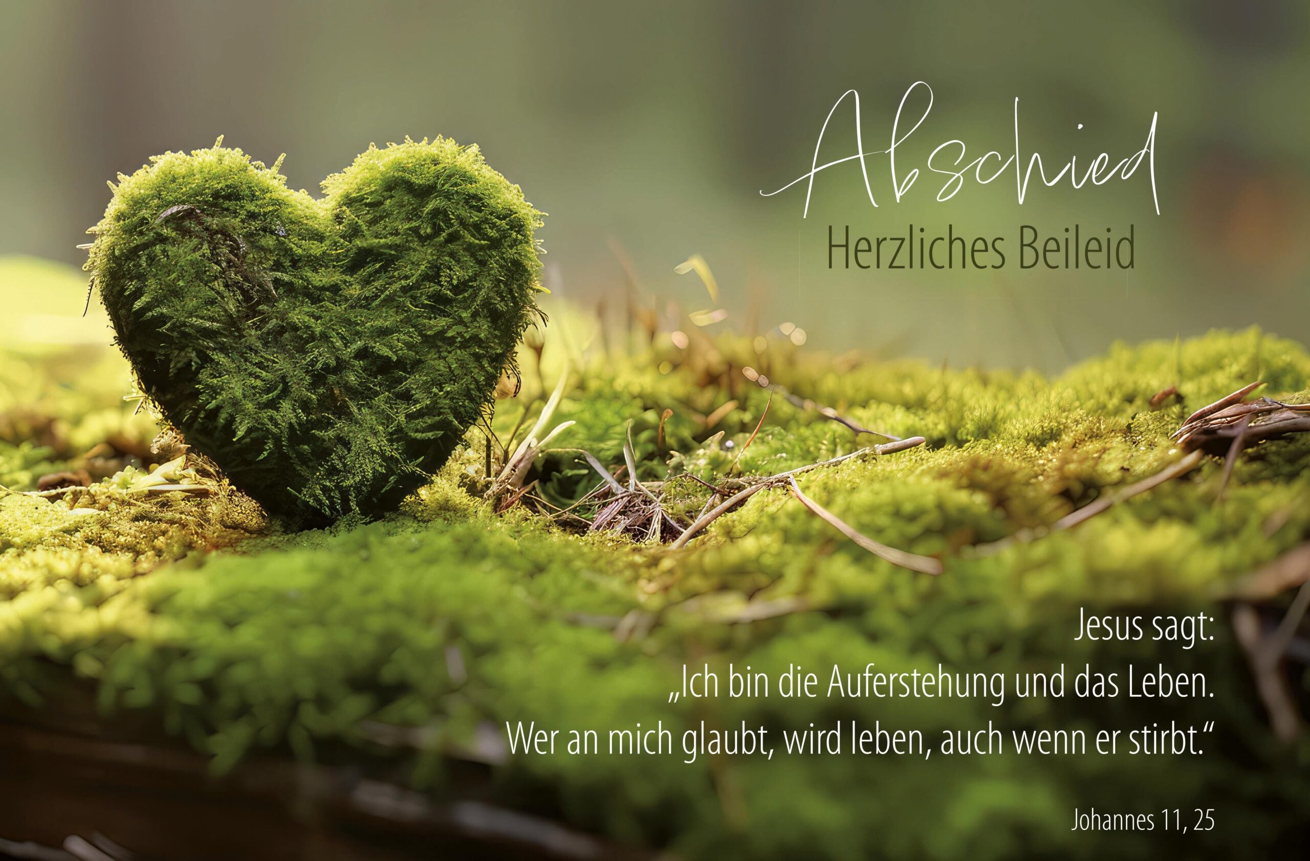 Faltkarten "Trauer" Paket 2