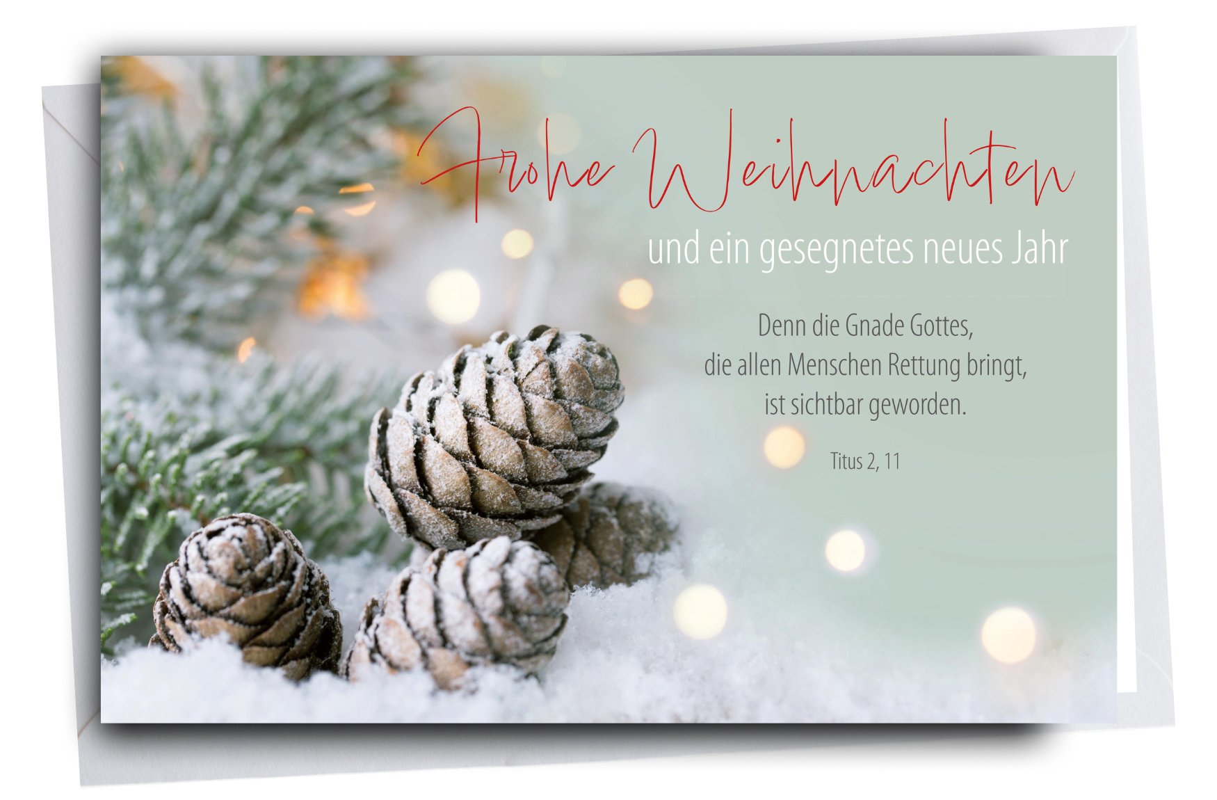 Faltkarte Weihnachten Tannenzapfen