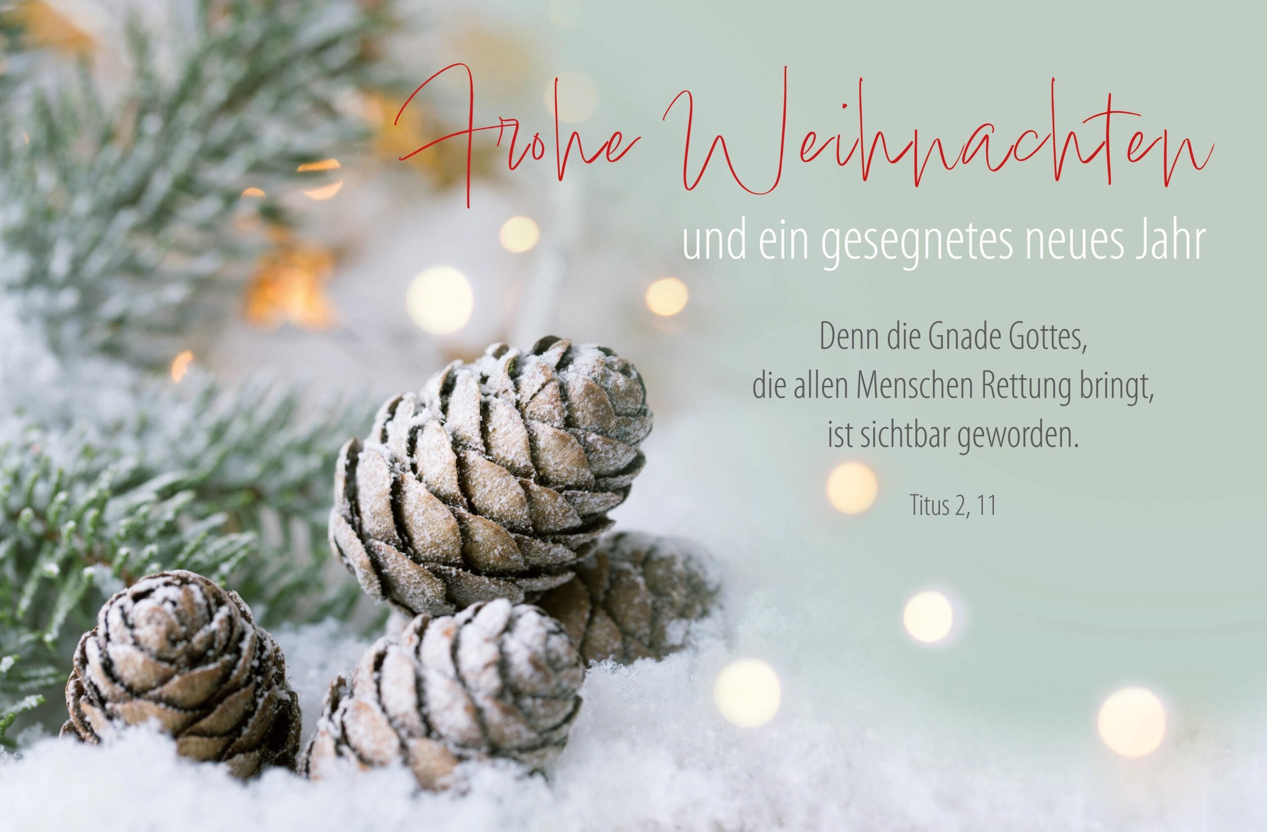 Faltkarte Weihnachten Tannenzapfen
