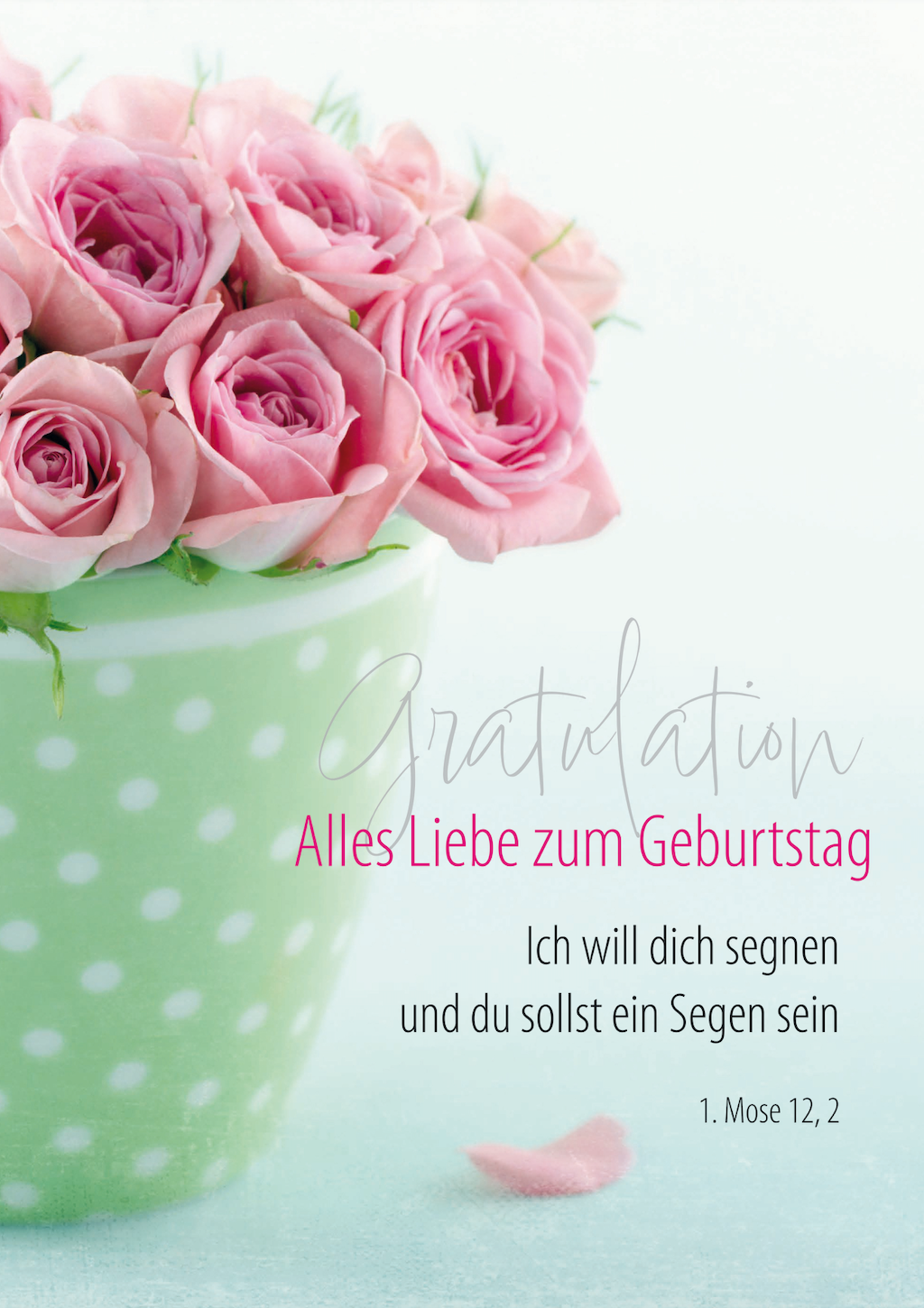 Faltkarten "Geburtstag" Paket 1