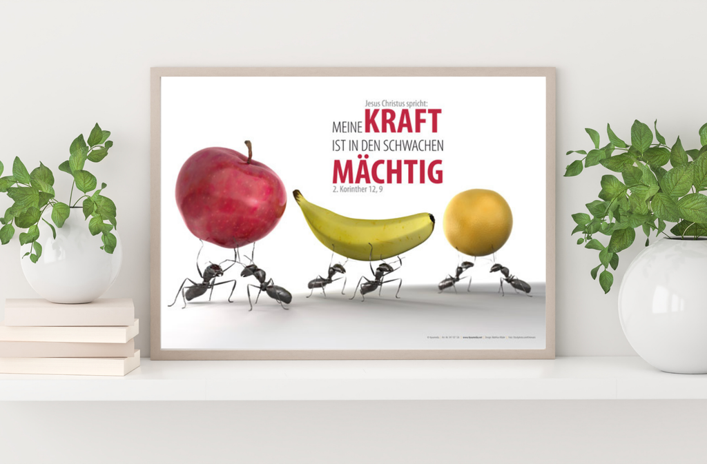 Poster A3 laminiert Jahreslosung 2012 Motiv "Ameise"
