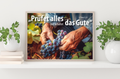 Poster A3 laminiert Jahreslosung 2025 Weinrebe