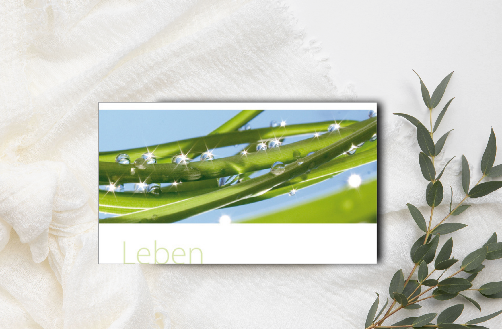 Panorama Karte Leben