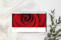Panorama Karte Rote Rose