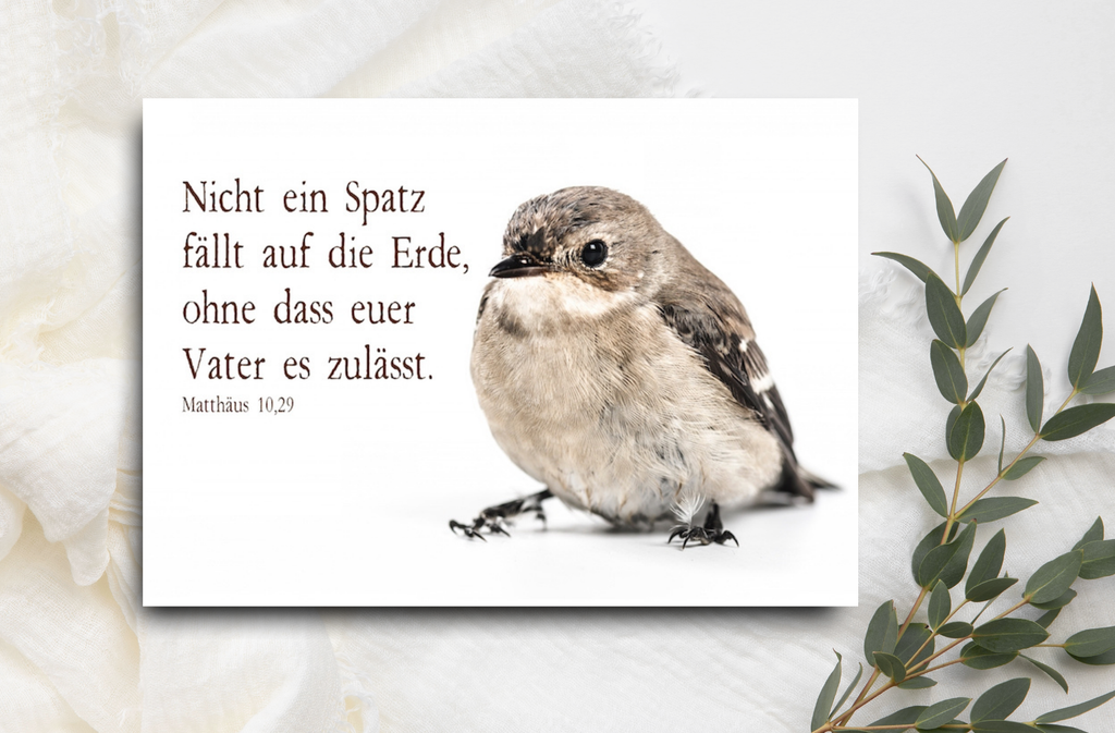 Postkarten-Set ERwartet