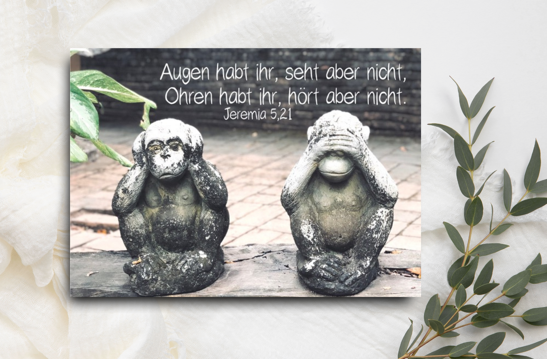 Postkarte  Augen habt ihr