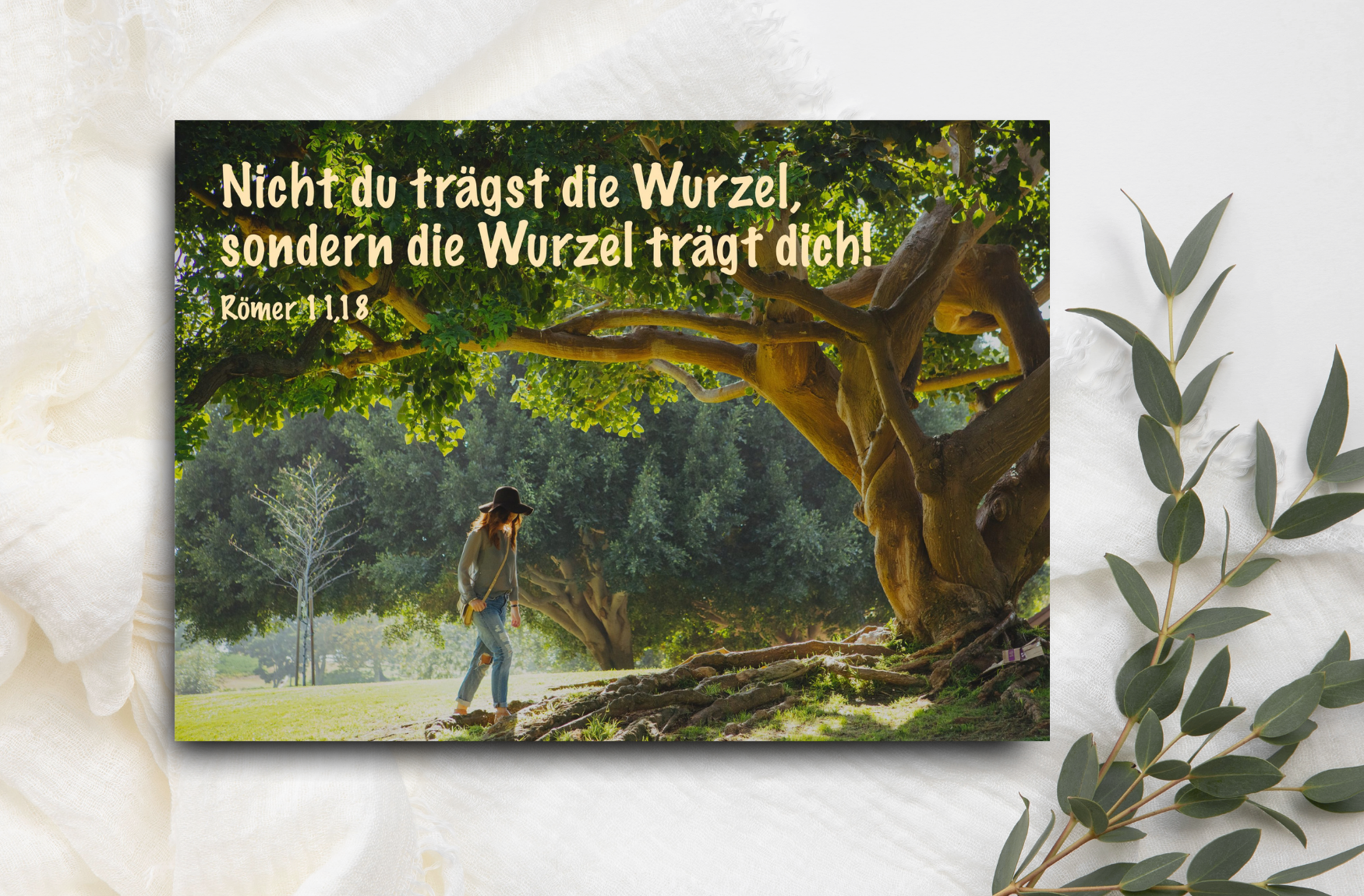 Postkarten-Set ERwartet