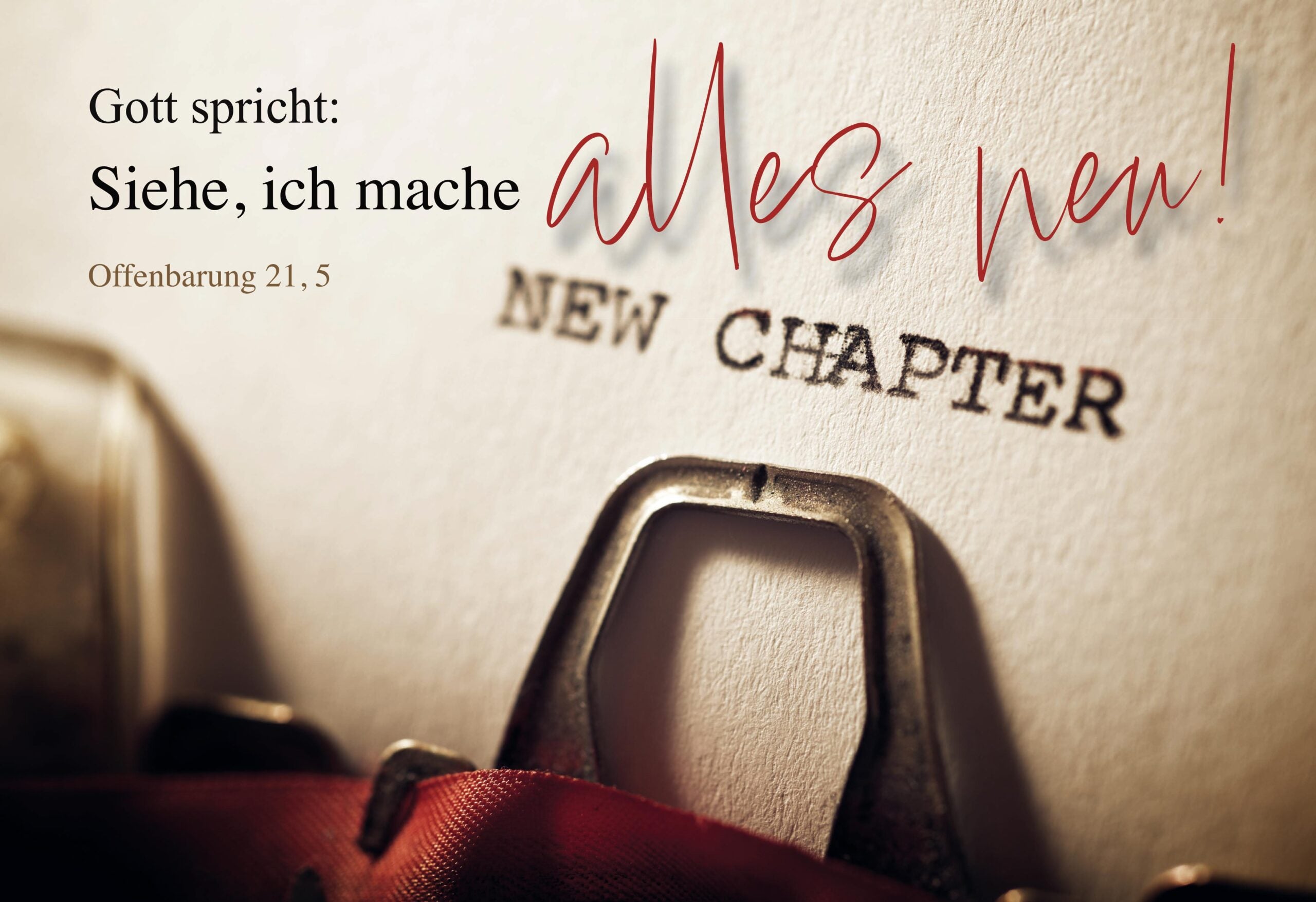 Postkarten Set Jahreslosung 2026 New Chapter 10 Stück
