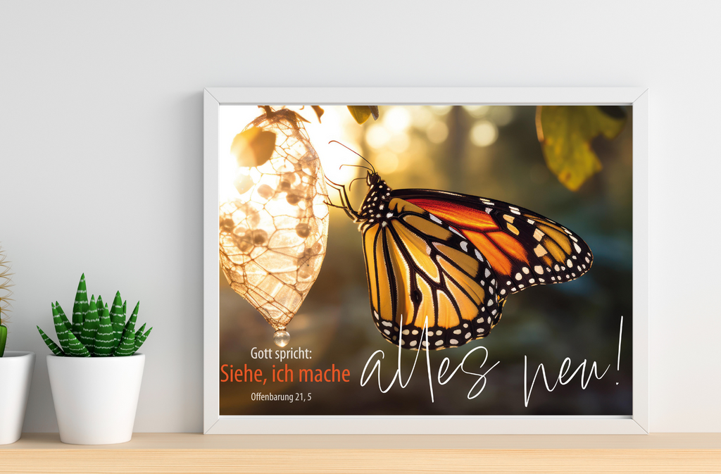 A3 Poster laminiert Jahreslosung 2026 Schmetterling