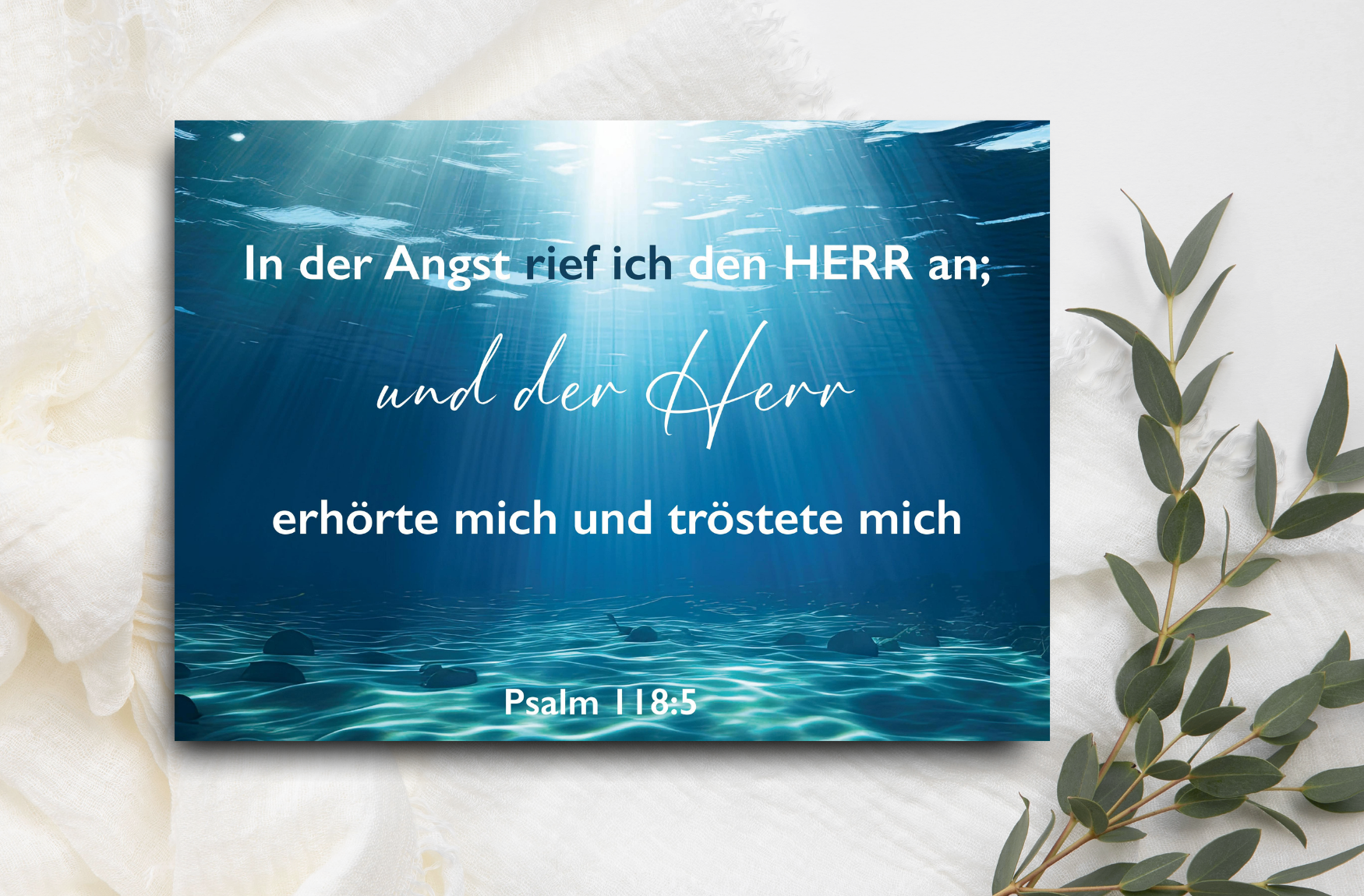 Postkarte Unterwasser