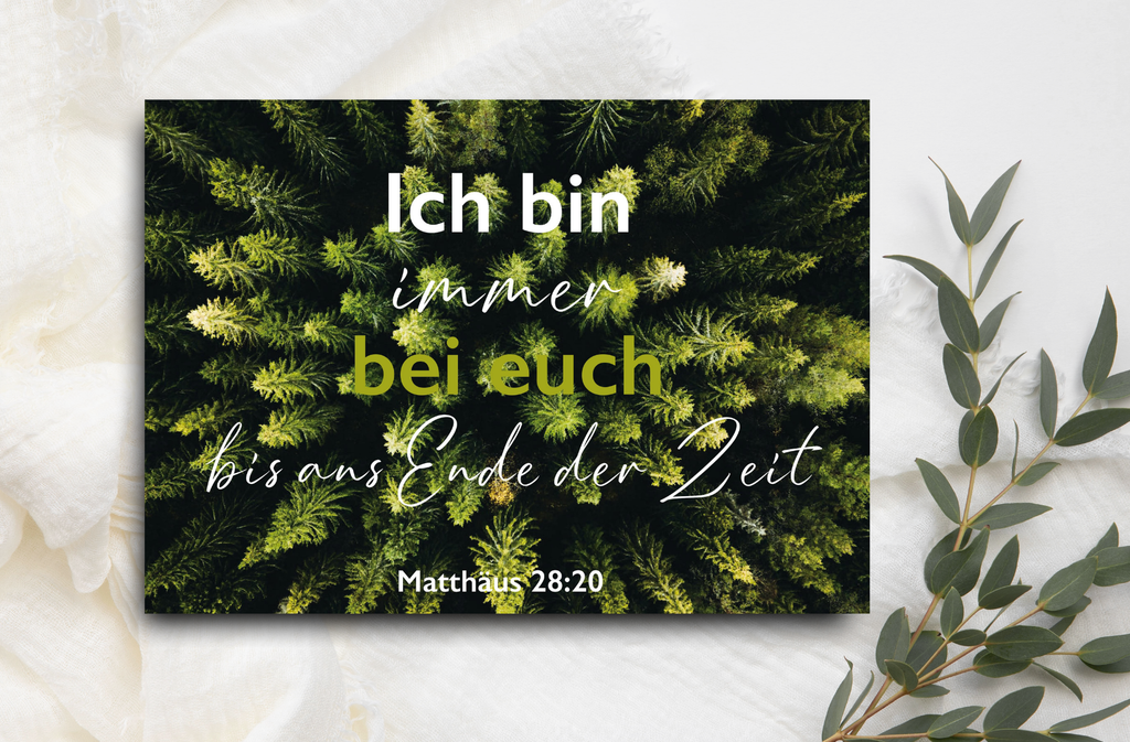 Postkarte Wald