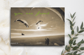 Postkarte  you are freed