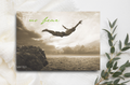 Postkarte  no fear
