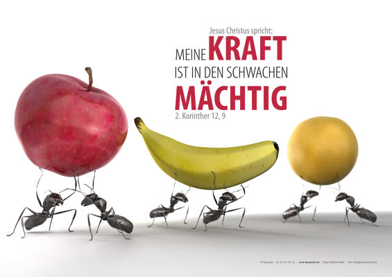 Poster A3 laminiert Jahreslosung 2012 Motiv "Ameise"