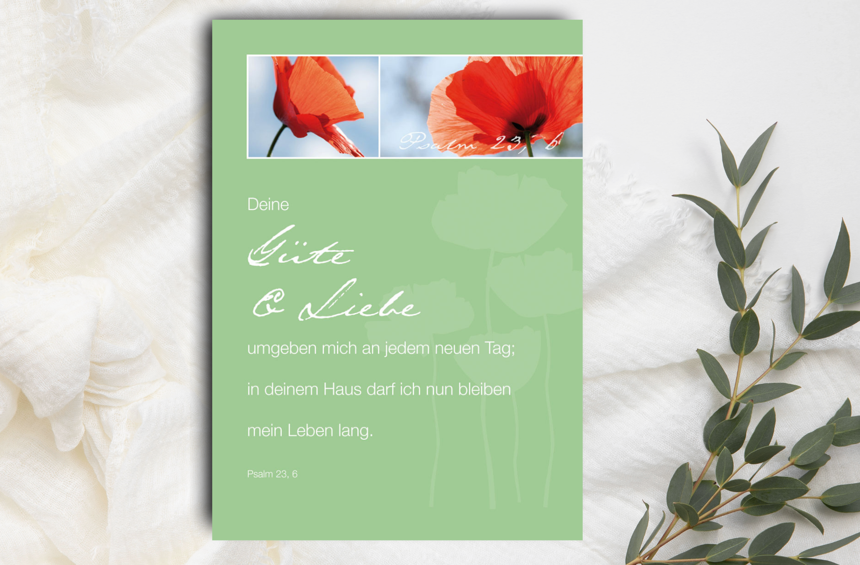 Psalm-Cards Güte & Liebe