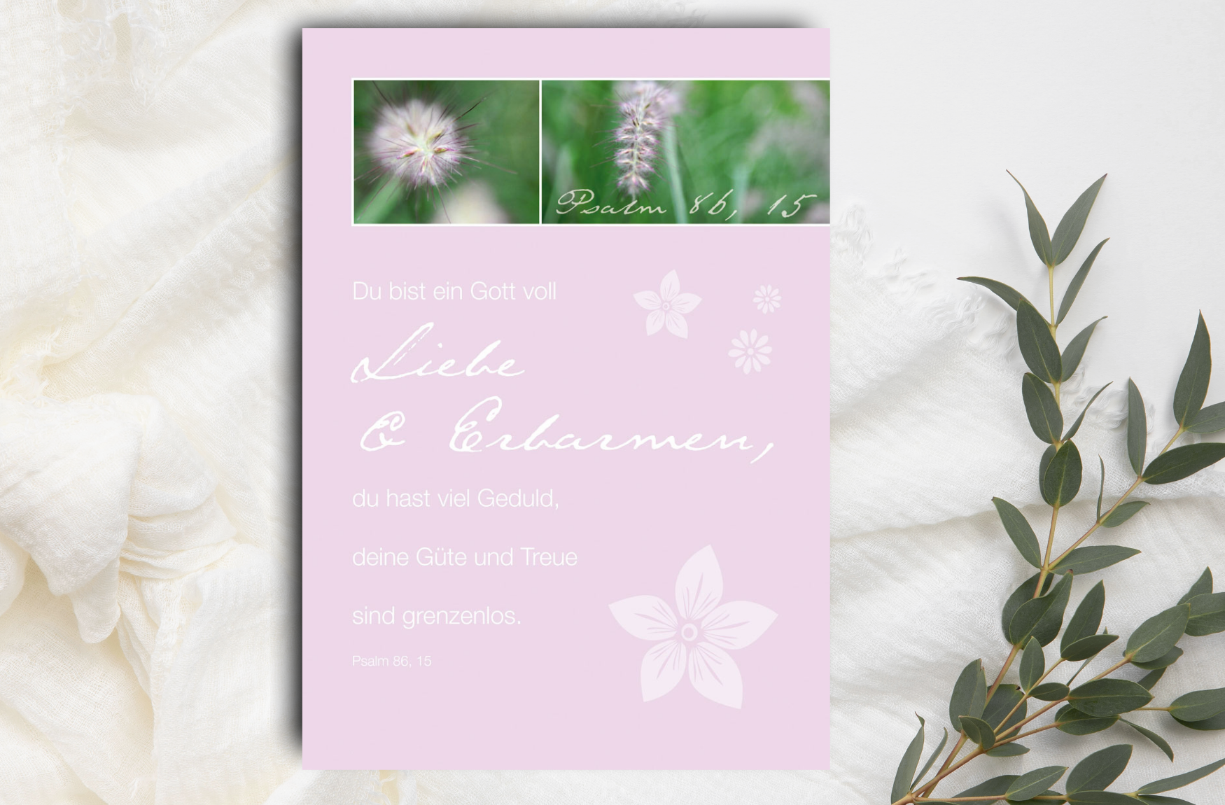 Psalm-Cards Liebe & Erbarmen