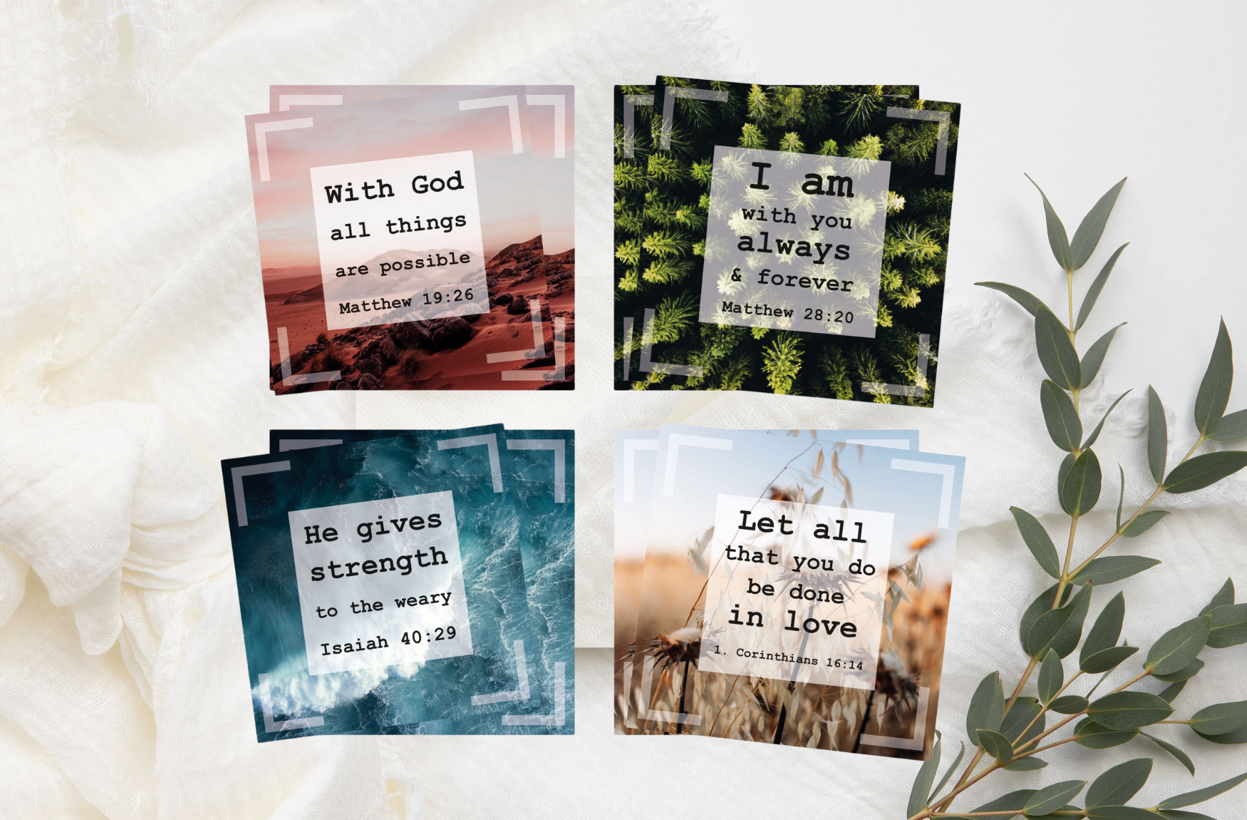 Einführungspaket Quad-Cards 4 x 2 Karten